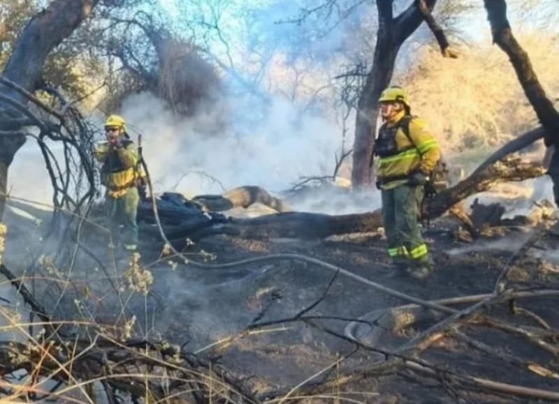 VIDEO | La provincia reforzó el operativo contra los incendios en Cafayate con brigadistas, aviones y más recursos