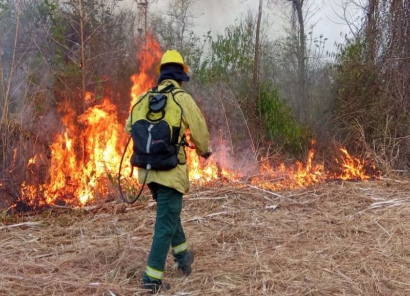 Trabajo conjunto de Nación, la provincia y municipios contiene incendios en el norte salteño