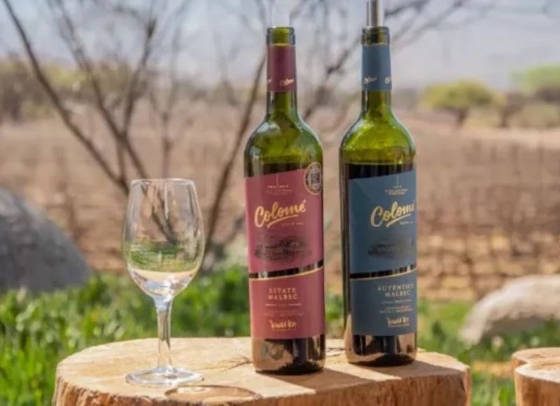 Salta celebra un nuevo reconocimiento internacional a su enoturismo